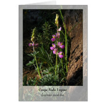 Lupine de la soda de la uva - Notecard nativo Felicitacion