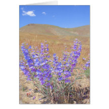 Lupine plateado felicitación