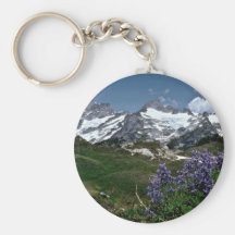 Lupine púrpura capítulo las flores heladas de los  llaveros
