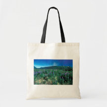 Lupines en Kodiak Bolsa