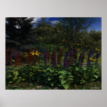 lupines impresiones