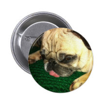 luvpug.jpg pin