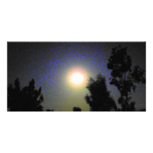 Luz de luna en Arizona Tarjetas Fotográficas Personalizadas