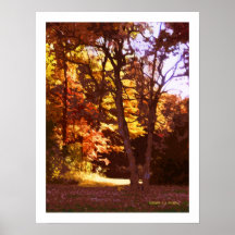 "Luz del otoño " Impresiones