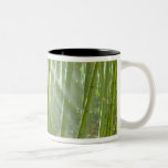 Luz del sol de la mañana que filtra a través de ba taza de café