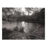 Luz del sol en el Taff, parque del Bute, Cardiff Fotografía