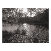 Luz del sol en el Taff, parque del Bute, Cardiff Fotografía