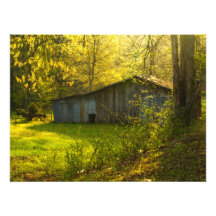 Luz rural de la mañana de la primavera de Tennesse Impresiones Fotograficas