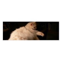 Luz y gato de la sombra plantillas de tarjetas personales