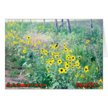 Lvnm de la tarjeta w del girasol