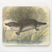 Lydekker - Platypus Alfombrillas De Ratones