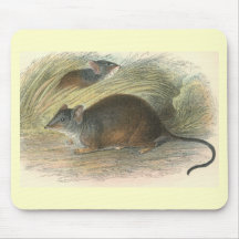 Lydekker - Pouched-Ratón Amarillo-Con base Tapete De Ratón