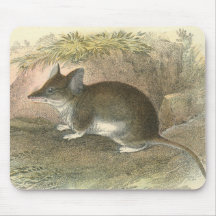 Lydekker - Pouched-Ratón común Alfombrilla De Ratón