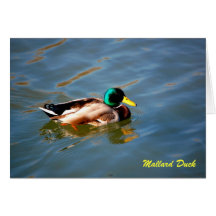 M está para el pato silvestre - notecard felicitación