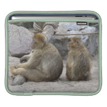 Macaque de Barbary Fundas Para iPads
