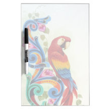 macaw