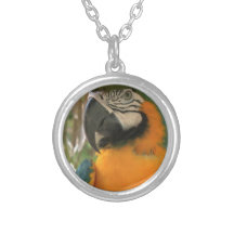 Macaw del Amazonas Joyeria Personalizada