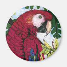 Macaw del escarlata imanes para frigoríficos
