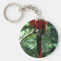 Macaw del escarlata llavero personalizado