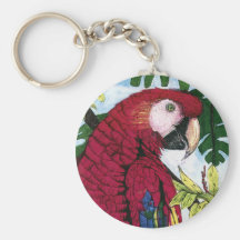 Macaw del escarlata llaveros personalizados