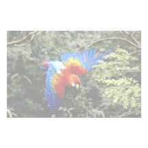 Macaw del escarlata  papeleria de diseño