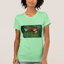 Macaw del escarlata, Singapur Camisetas