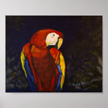 Macaw encaramado posters
