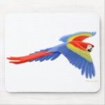 Macaw Mousepad del escarlata Tapetes De Ratón
