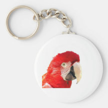 Macaw rojo llavero