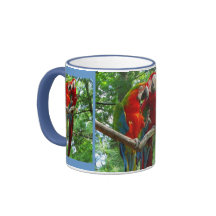 Macaws del canto taza grande