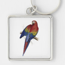 Maccaw rojo y amarillo de Edward Lear Llaveros Personalizados