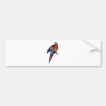 Maccaw rojo y amarillo de Edward Lear Pegatina De Parachoque