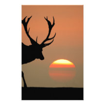 machos sunset.jpg papeleria personalizada