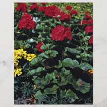 Macizo de flores flyer personalizado