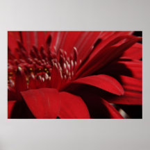 Macro del jardín poster