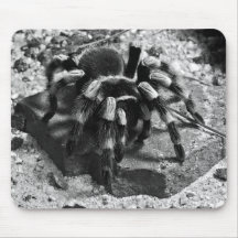 Macro del Tarantula - Mousepad Tapetes De Raton