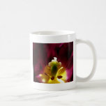 macro del tulipán taza