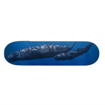 Macrocephalus del Physeter de la ballena de esperm Monopatin Personalizado