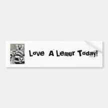 ¡MadagascanRingtailLemurs, ama un Lemur hoy! Pegatina De Parachoque