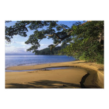 Madagascar, reserva especial Nosy de Mangabe, ence Arte Fotografico