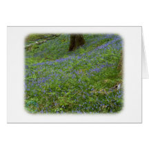 Madera 8T33D-09 del Bluebell Tarjeta