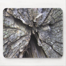 Madera agrietada vieja un ángel Mousepad