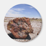 Madera aterrorizada imán de frigorífico
