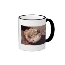 Madera aterrorizada taza