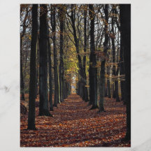 Madera de haya del otoño, Países Bajos rurales en  Flyer A Todo Color