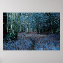 MADERA MÁGICA 2 POSTER