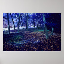 MADERA MÁGICA 3 POSTER