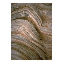 Madera seca de Arizona Invitación