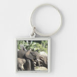 Madre con el elefante del bebé llavero