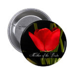 Madre pintada rojo del tulipán de la novia
